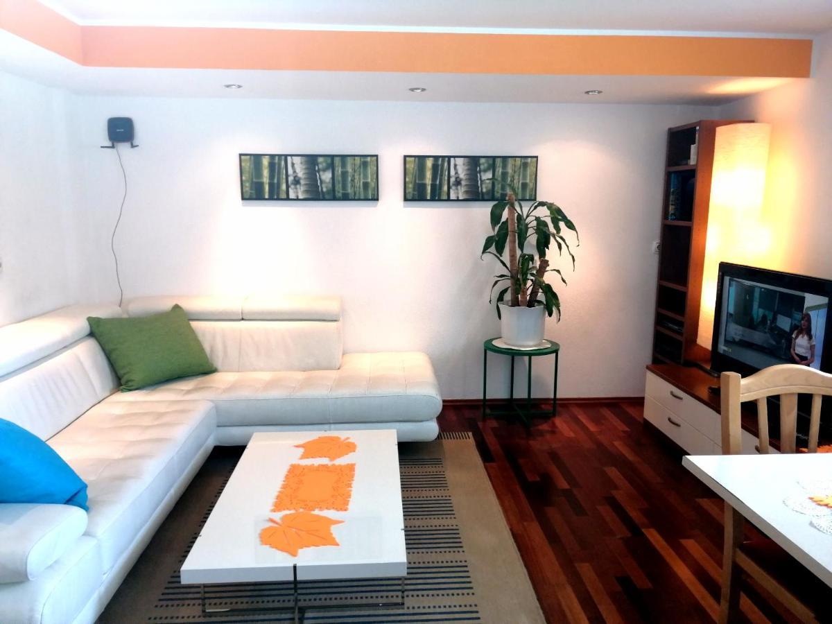 Mateja House - Apartments In Zirovnica Rodine Exterior photo