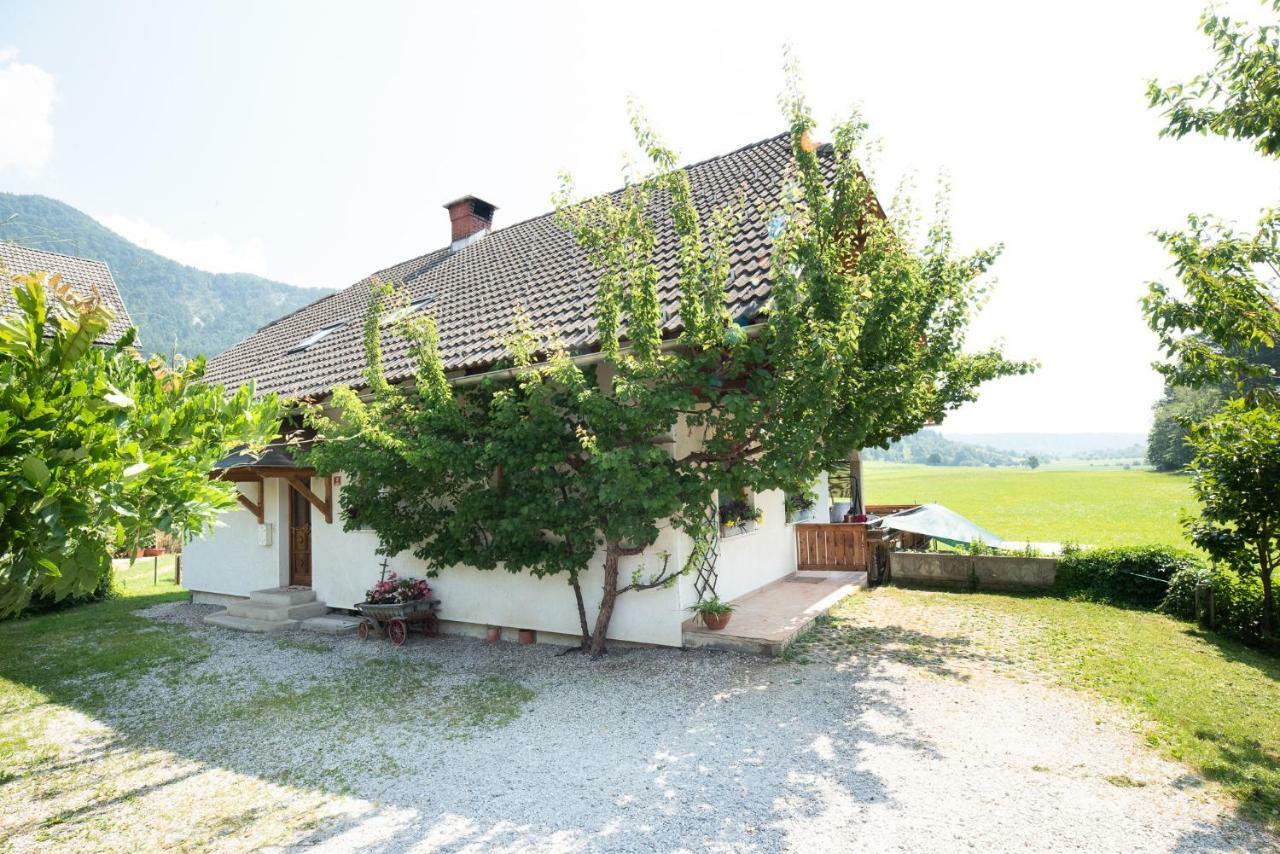Mateja House - Apartments In Zirovnica Rodine Exterior photo